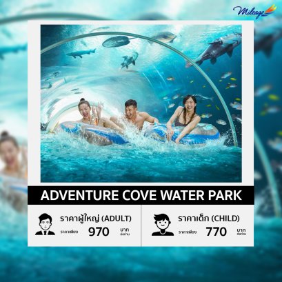 บัตรเข้าสวนน้ำแอดเวนเจอร์โคฟ (Adventure Cove Water Park)