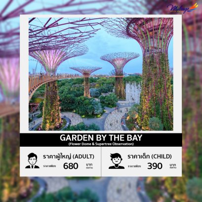 บัตรเข้าชมการ์เด้นส์ บาย เดอะ เบย์ (Flower Dome &amp;  Supertree Observation)