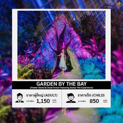 บัตรเข้าชมการ์เด้นส์ บาย เดอะ เบย์ ( Flower Dome &amp; Cloud Forest Featuring Avatar The Experience)