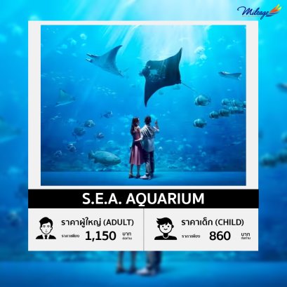 บัตรเข้าชมพิพิธภัณฑ์สัตว์น้ำ S.E.A. Aquarium