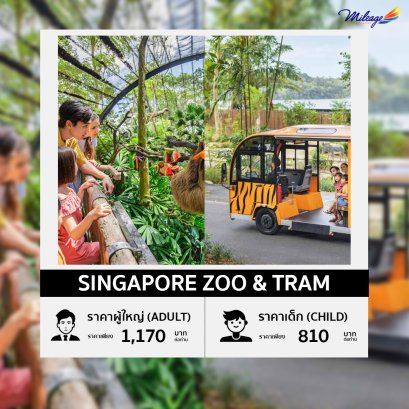 บัตรเข้าชมสวนสัตว์สิงคโปร์ (Singapore Zoo & Tram)