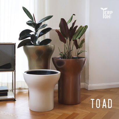 กระถางรุ่น TOAD SIZE S