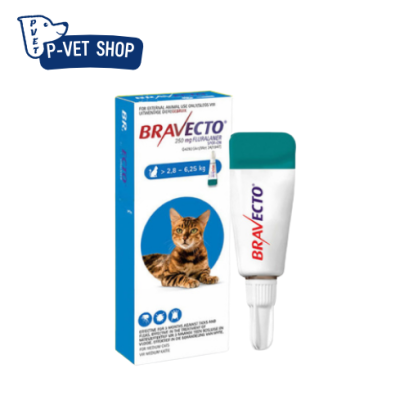 Bravecto spot-on For cats ยาหยดหลังเห็บหมัดสำหรับแมว น้ำหนัก 2.8-6.75 kg