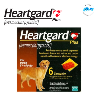 Heartgard Plus ยาป้องกันโรคพยาธิหัวใจสำหรับสุนัข 51-100 ปอนด์ (23-45 กิโลกรัม) สีน้ำตาล ชนิดเคี้ยว