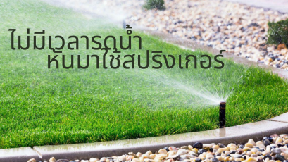 ตัวช่วยในการรดน้ำจากสปริงเกอร์