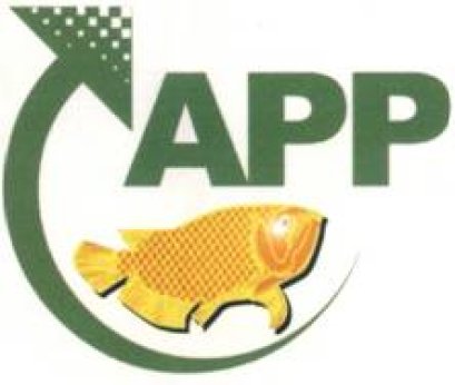 ปั๊มจุ่ม อาวานา