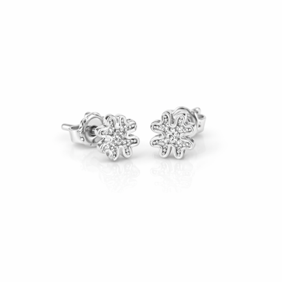 Earrings 18K  White gold with Diamond