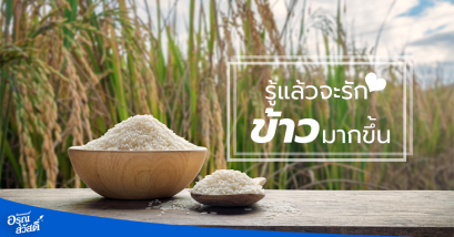 รู้แล้วจะรัก "ข้าว" มากขึ้น