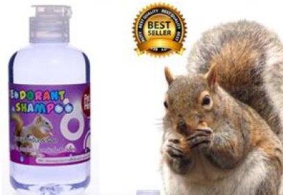 Petheng_แชมพูสำหรับกระรอก[200ml]