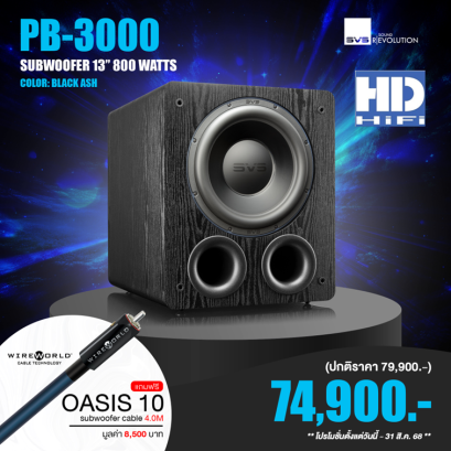 SVS PB3000 Subwoofer Speaker Black Ash