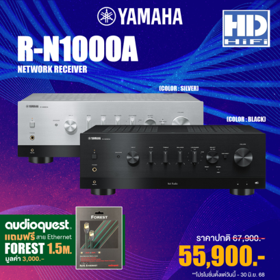 Yamaha R-N1000A Network Stereo Receiver