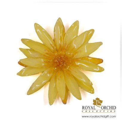 เข็มกลัดดอกบัว/Real Water Lily on Brooches