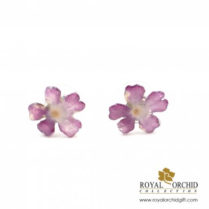 ต่างหูดอกเวอร์บีนา Verbena (Purple-White)