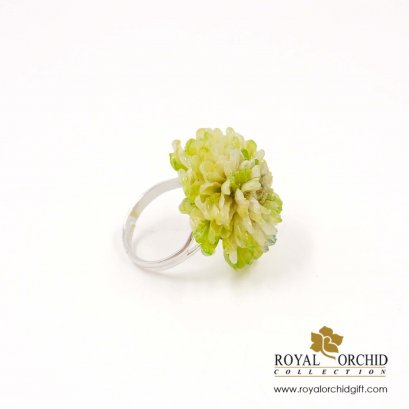 แหวนดอกเบญจมาศ Irregular mum (Light Green)