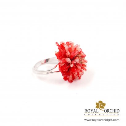 แหวนดอกเบญจมาศ Irregular mum (Red)