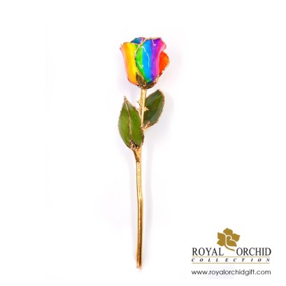 กุหลาบช่อสีรุ่งขอบทอง 11 นิ้ว / Partial Gold Plated Rainbow Rose Stem 11"(copy)