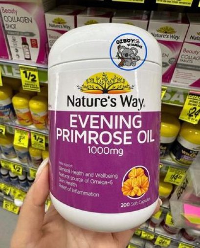 Nature’s way evening primrose