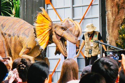 พัทลุงไปไหนดี? พาเที่ยว สวนเดอลอง อาณาจักรไดโนเสาร์ติดถนนเอเชีย