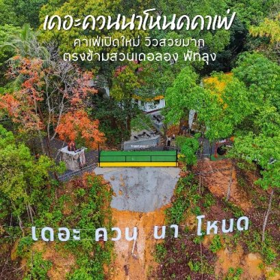 เดอะควนนาโหนดคาเฟ่ พัทลุง