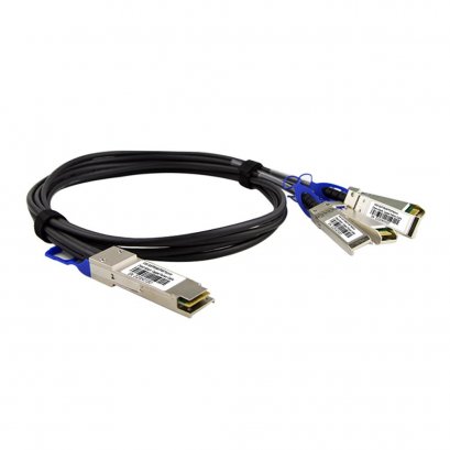 Direct Attach Cable 100G FD010048