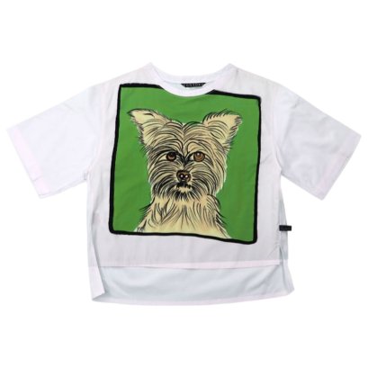 Woman Blouse - White : Charming Chihuahua on a Green Background