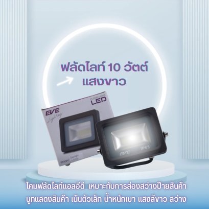โคมฟลัดแอลอีดี 10 วัตต์ เดย์ไลท์