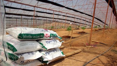 ดูแลให้กัญชง-กัญชาให้สวยแบบมืออาชีพ