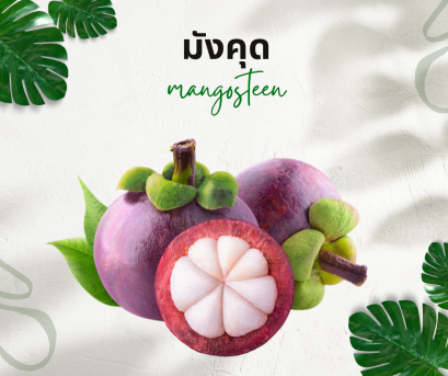 วิธีการใช้กับมังคุด