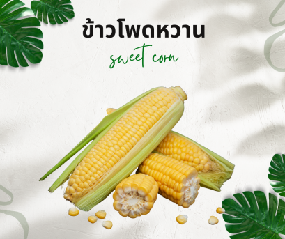 วิธีการใช้กับข้าวโพดหวาน