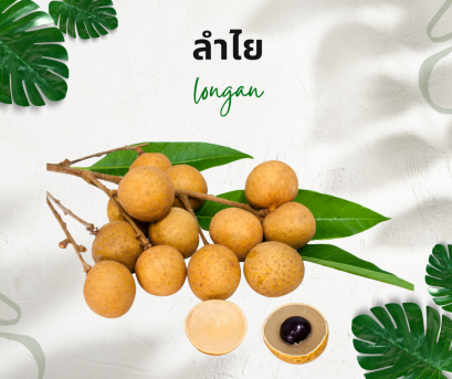 วิธีการใช้กับลำไย