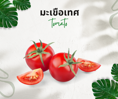 วิธีการใช้กับมะเขือเทศ