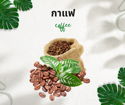 วิธีการใช้กับกาแฟ