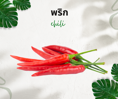 วิธีการใช้กับพริก