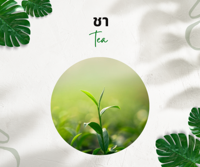 วิธีการใช้กับชา