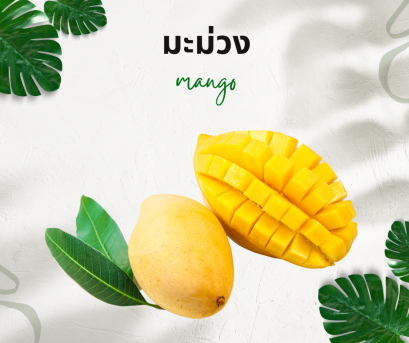 วิธีการใช้กับมะม่วง