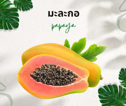 วิธีการใช้กับมะละกอ