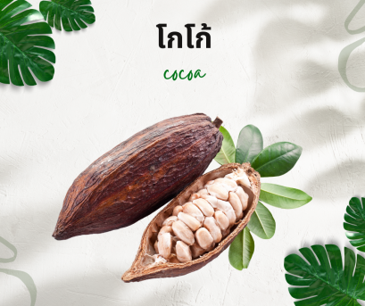 วิธีการใช้กับโกโก้