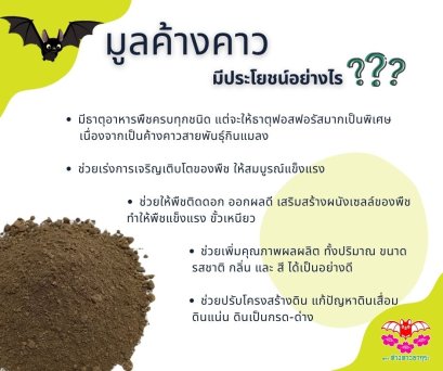 มูลค้างคาว มีประโยชน์อย่างไร❓