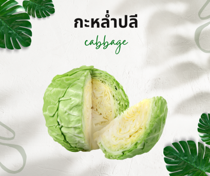 วิธีการใช้กับกะหล่ำปลี