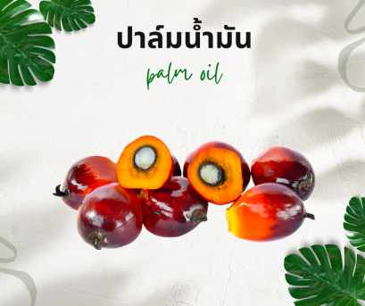 วิธีการใช้กับปาล์มน้ำมัน