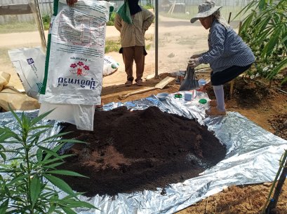 ไร่อารมณ์ดี อ.เวียงเชียงรุ้ง จ.เชียงราย