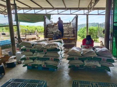 สวนส้มวังน้ำทิพย์ อ.แม่สรวย จ.เชียงราย 