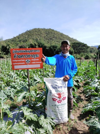 แปลงซูกินี่ ต.วังแก้ว อ.วังเหนือ จ.ลำปาง