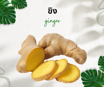 วิธีการใช้กับขิง