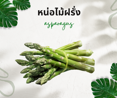 วิธีการใช้กับหน่อไม้ฝรั่ง