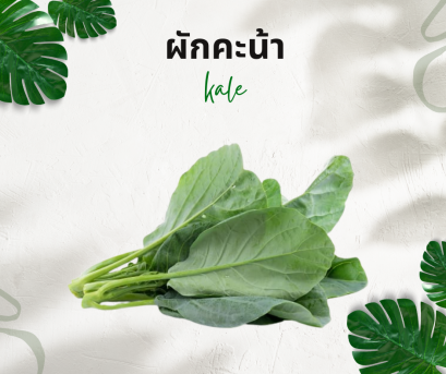 วิธีการใช้กับคะน้า