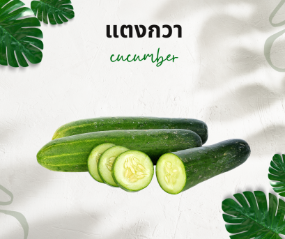 วิธีการใช้กับแตงกวา