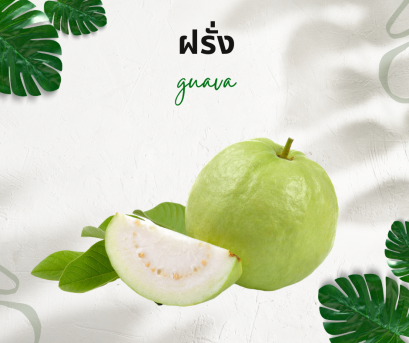 วิธีการใช้กับฝรั่ง