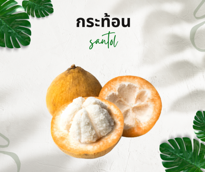 วิธีการใช้กับกะท้อน