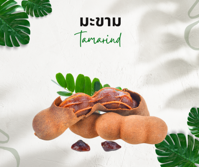 วิธีการใช้กับมะขาม